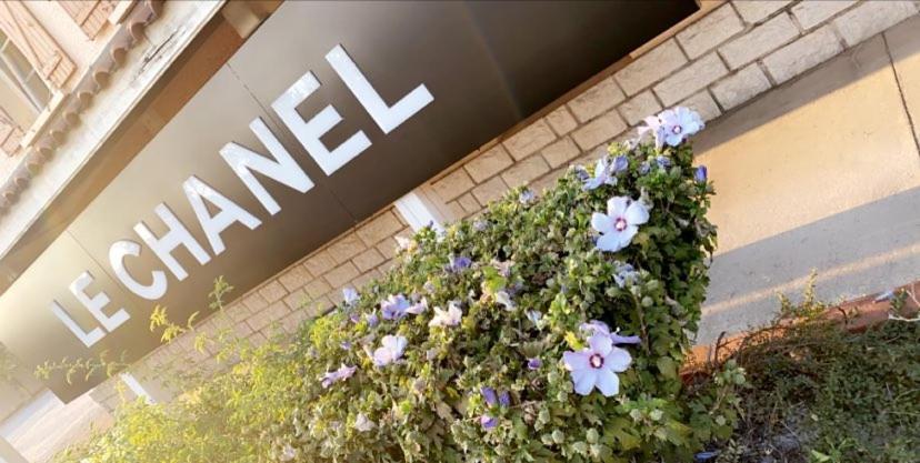 Hotel Restaurant Le Chanel Villieu エクステリア 写真